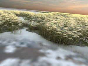 reed Model 3D