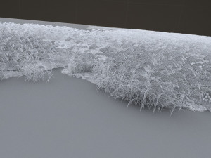 reed Model 3D