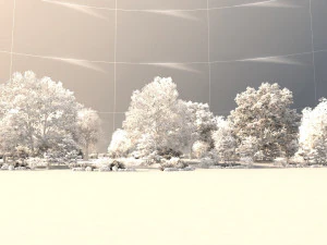 jinqiu lake winter 3D Model