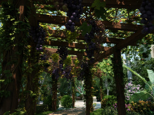 grape rack 3D Модель
