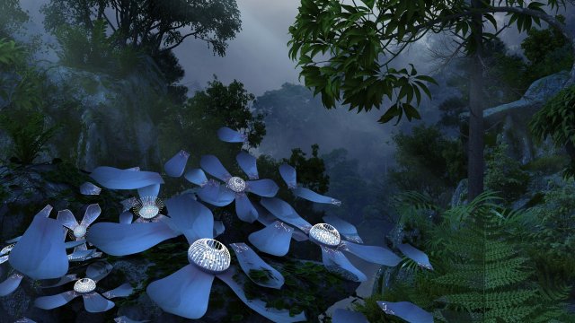 rainforest Model 3D .c4d .max .obj .3ds .fbx .stl .blend 