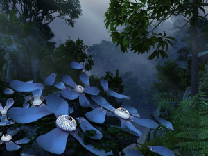 rainforest 3Dモデル