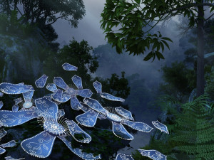 rainforest Model 3D