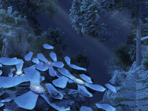 rainforest 3D Model