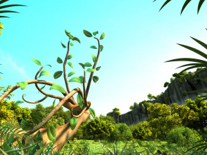 rainforest Model 3D