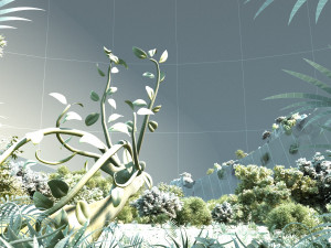 rainforest Model 3D