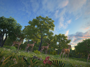 rainforest Modelo 3D