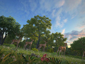 rainforest 3D Model