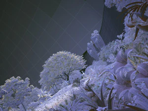 rainforest 3D Model