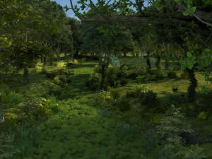 rainforest Modello 3D