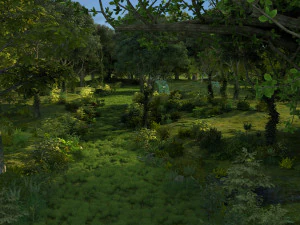 rainforest 3D Model