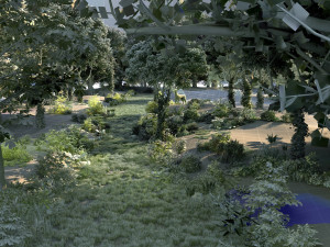 rainforest Modello 3D