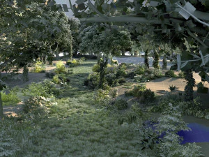 rainforest 3D Model