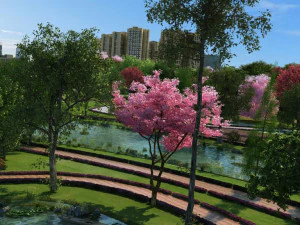 wetland park 3D Model