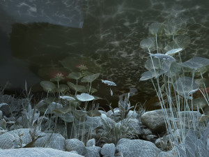 fish pond Modèle 3D