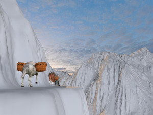 tiger leaping gorge Modelo 3D