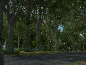 forest 3D Model
