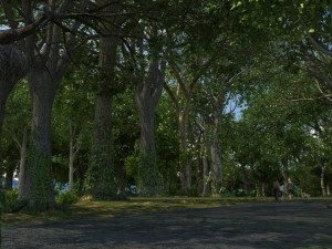 forest 3D Model