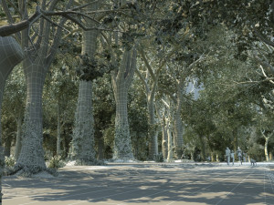 forest 3D Model