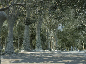 forest 3D Model