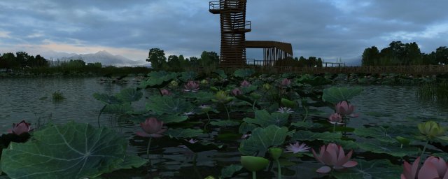 lotus pond Modello 3D .c4d .max .obj .3ds .fbx .stl .blend 