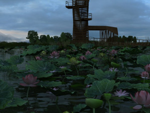 lotus pond 3D Model