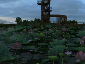 пруд с лотосами 3D Модель
