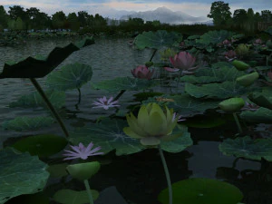 lagoa de l&oacute;tus Modelo 3D