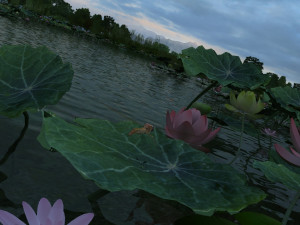 lotus pond Modello 3D
