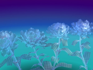 peony flower 3D 模型