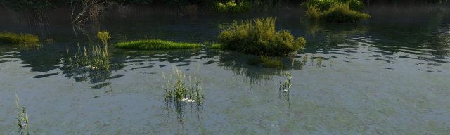 wetlands 3D Model .c4d .max .obj .3ds .fbx .stl .blend 