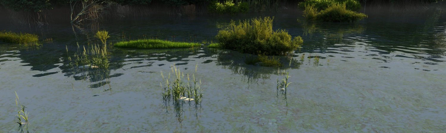 wetlands 3D Model .c4d .max .obj .3ds .fbx .stl .blend 