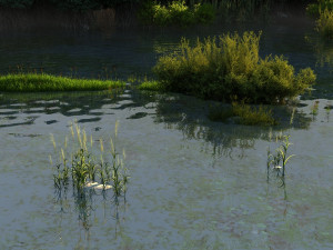 wetlands Modelo 3D