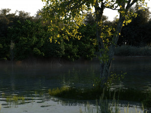wetlands 3D Model
