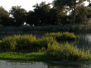 wetlands 3D Model