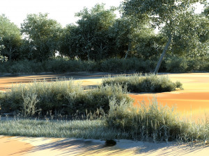 wetlands 3D Model