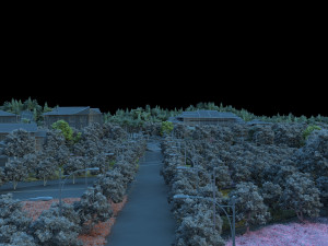 city building 3D Model