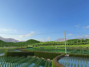 farmland 3D Model