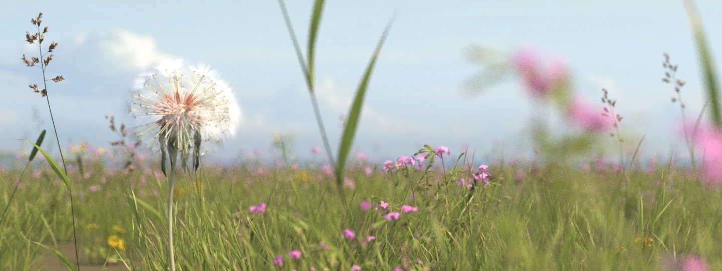 tanaman liar berbunga kuning cerah Model 3D .c4d .max .obj .3ds .fbx .stl .blend 