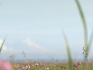 tanaman liar berbunga kuning cerah Model 3D