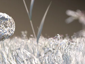 tanaman liar berbunga kuning cerah Model 3D