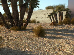 沙漠蜥蜴 3D 模型