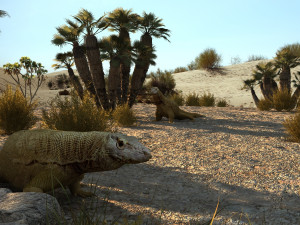 desert lizard 3D Model