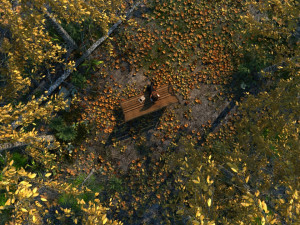 public park 3Dモデル