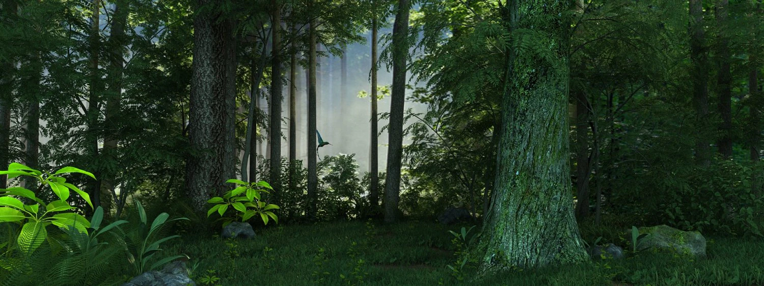 forest 3D Model .c4d .max .obj .3ds .fbx .stl .blend 