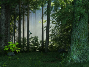 forest 3D Model