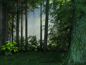 forest 3D 모델
