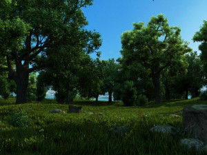 forest 3D Model