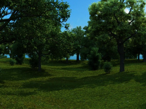 forest Model 3D