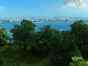 forest Model 3D